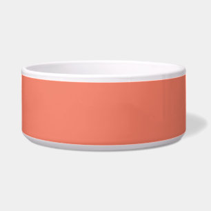 Écuelle Couleur Rose Pêche Printemps Été