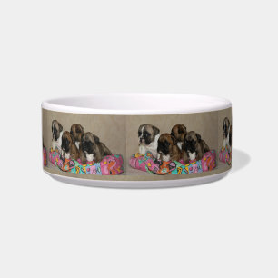 Écuelle Coussin bouledogues français Bulldogue français