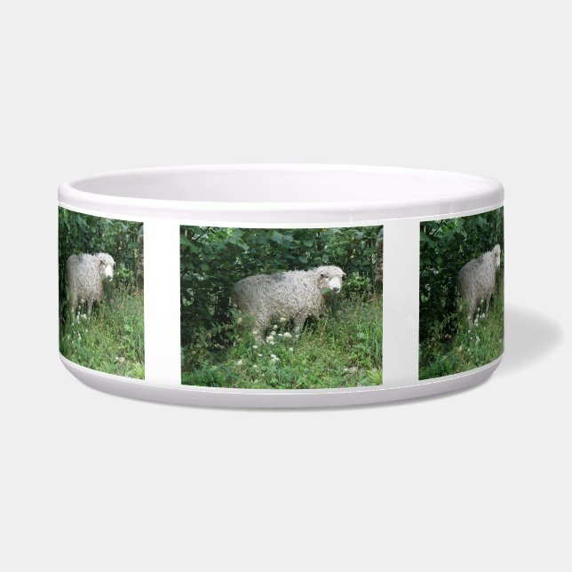 Écuelle Cute Blanc Fluffé Manger Pet Bowl (Devant)