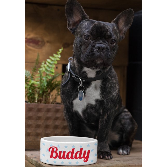 Écuelle Cute Chien Chien Chiot Chat Kitty Nom de l'animal  (Cute Dog Puppy Cat Kitty Pet Name Blue Stars Food Bowl)