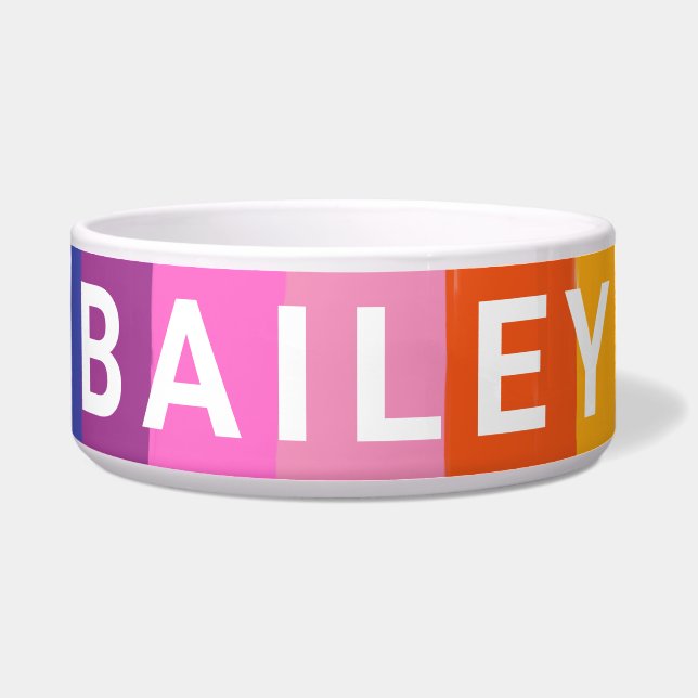 Écuelle Cute Coloré Fun Rainbow Stripes Personnalisé (Devant)