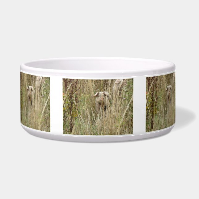 Écuelle Cute Spotty Pig Chig Bowl (Devant)