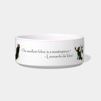 Écuelle Cuvette brutale de chat de Sun