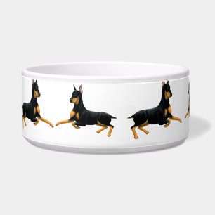 Écuelle Cuvette d'animal familier de chien de Pinscher de