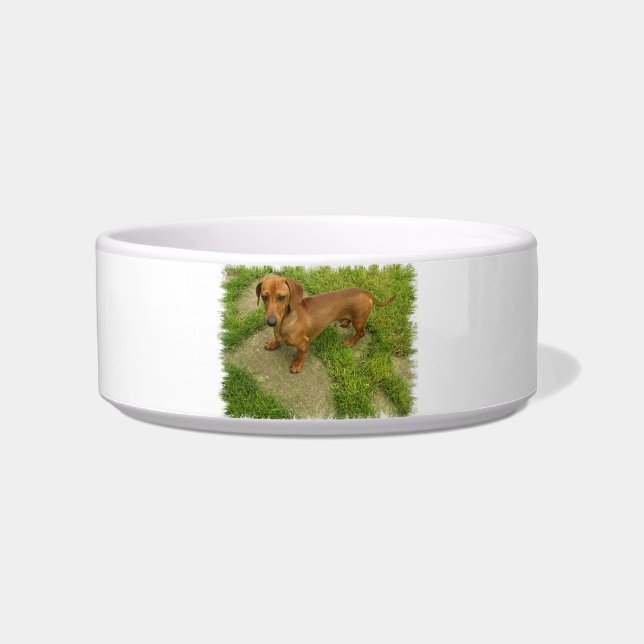 Écuelle Cuvette d'animal familier de Daschund (Devant)