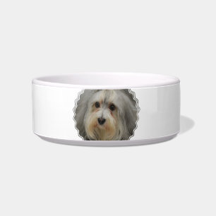 Écuelle Cuvette d'animal familier de Havanese