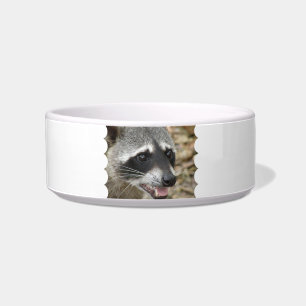 Écuelle Cuvette d'animal familier de visage de raton