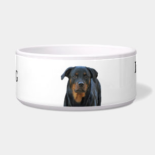 Écuelle Cuvette d'avertissement de chien de bave de