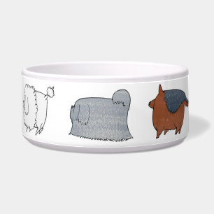 Écuelle Cuvette de chien de biscuit