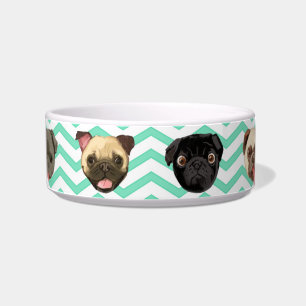 Écuelle Cuvette de chien de carlin
