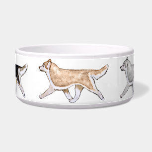 Écuelle Cuvette de chien de chien de traîneau sibérien de
