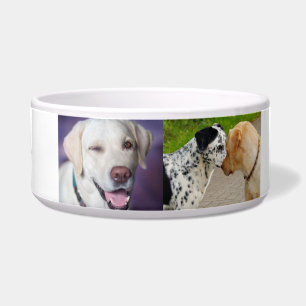 Écuelle "Cuvette de chien du Labrador et de la Dalmatie pe