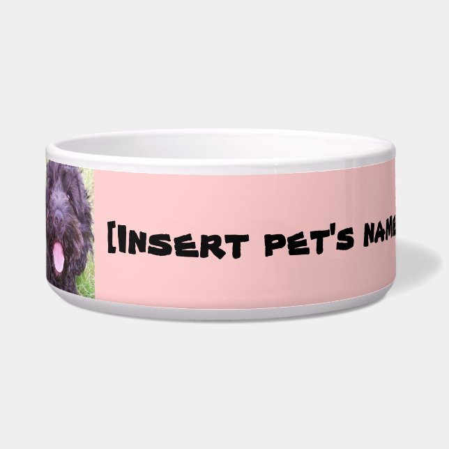 Écuelle Cuvette de Cockapoo (Devant)