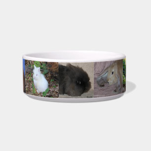 Écuelle Cuvette de lapin