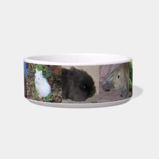 Écuelle Cuvette de lapin