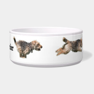 Écuelle Cuvette fonctionnante de chien de gallois Terrier