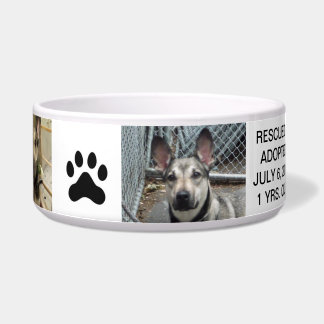 Écuelle Cuvette personnalisée de chien pour votre meilleur