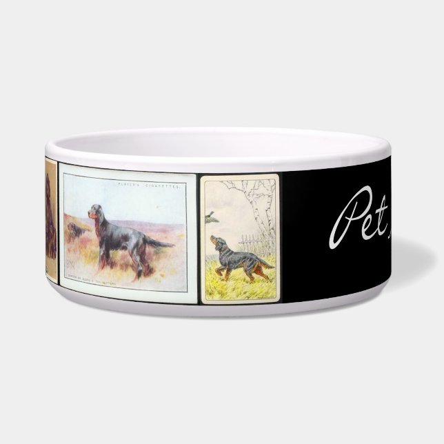 Écuelle Cuvette vintage d'animal familier de carte de (Gauche)