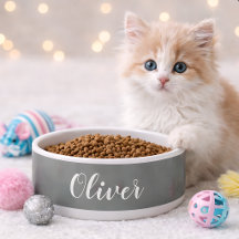 do-it-yourself Bowl pour animaux | Nom personnalis