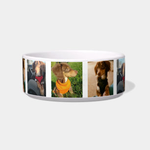 Écuelle dog