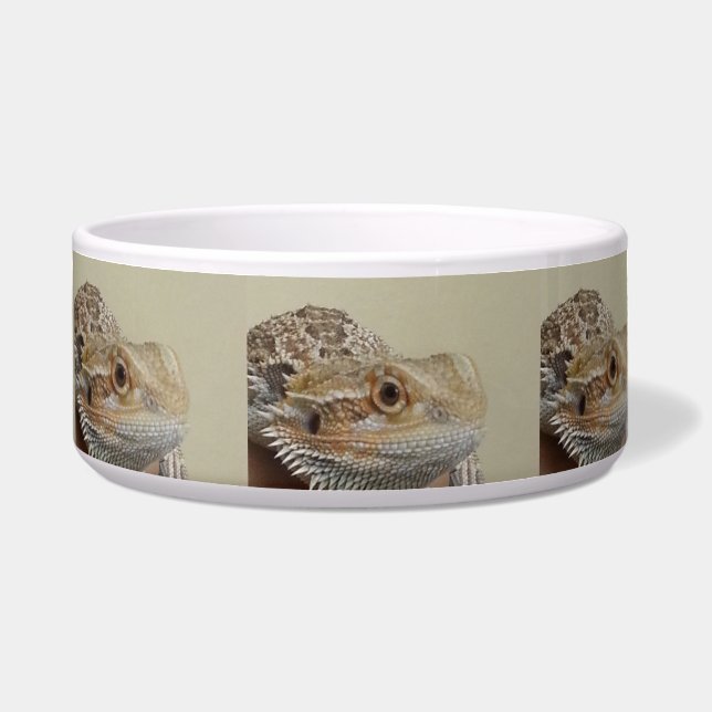 Écuelle Dragon (Devant)