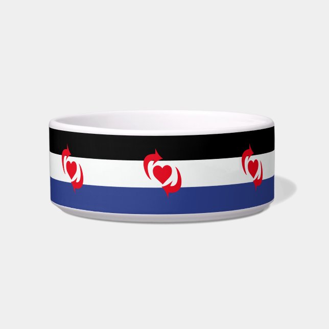 Écuelle Drapeau de la fierté Switch (Devant)