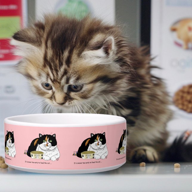 Écuelle Drôle Chat Tacheté Gâté Nourrir Rose (Créateur téléchargé)