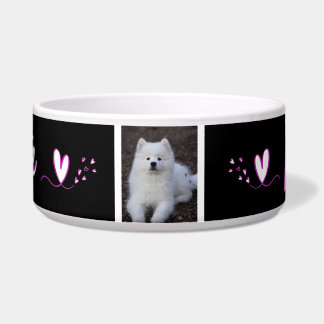 Écuelle Ecuelle, bol pour chien, chat, animal de c