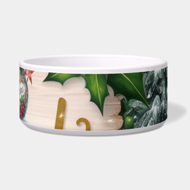 Écuelle en céramique pour animaux (Droite)