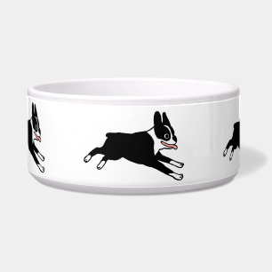 Écuelle Faire courir des Boston Terriers au Dog Bowl