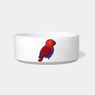 Écuelle Femelle de perroquet d'Eclectus