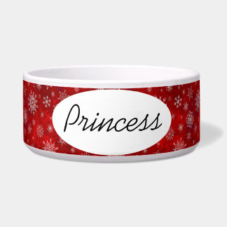 Écuelle Flèche-neige