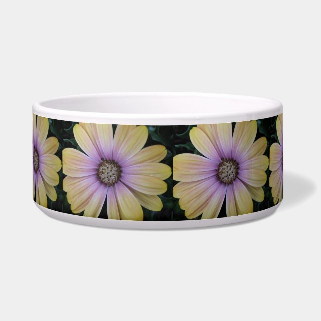 Écuelle Fleur marguerite jaune et violet (Devant)