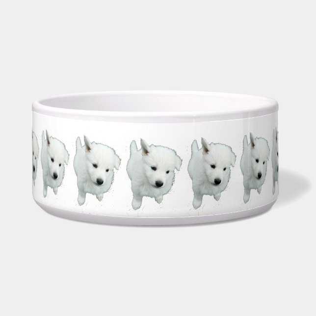 Écuelle Fluffy White Puppy Photographie (Devant)