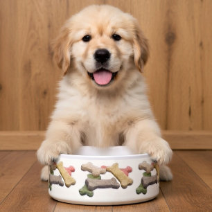 Écuelle Friandises multicolores pour chiens Meilleurs amis