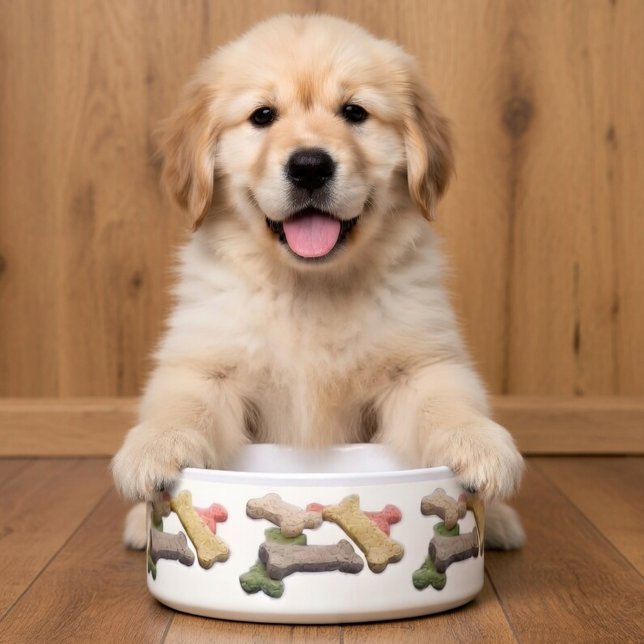 Écuelle Friandises multicolores pour chiens Meilleurs amis (Ceramic pet bowl with colorful dog bone pattern around the outside.)
