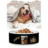 Fun Black Gold Nom Couronne Chien