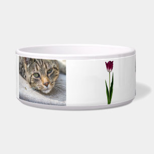 Écuelle Funky Ceramic Pet Bowl