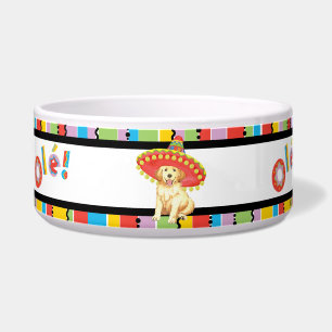 Écuelle Golden retriever de fiesta