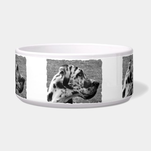 ÉCUELLE GRAND DANE (Devant)