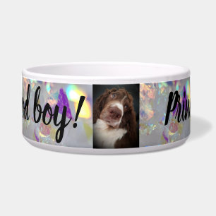 Écuelle Grande cuvette de chien
