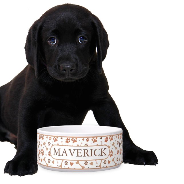 Écuelle Griffes et os personnalisés (Créateur téléchargé)