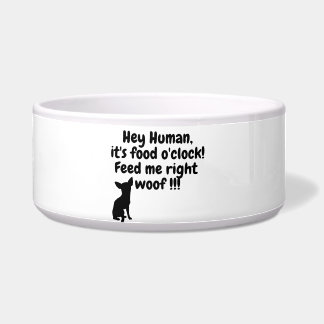Écuelle Hé, Hooman ! C'est à midi ! Bowl à chien amusant