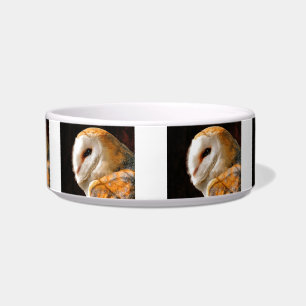 ÉCUELLE HIBOU