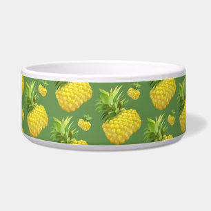 Écuelle Illustration d'ananas