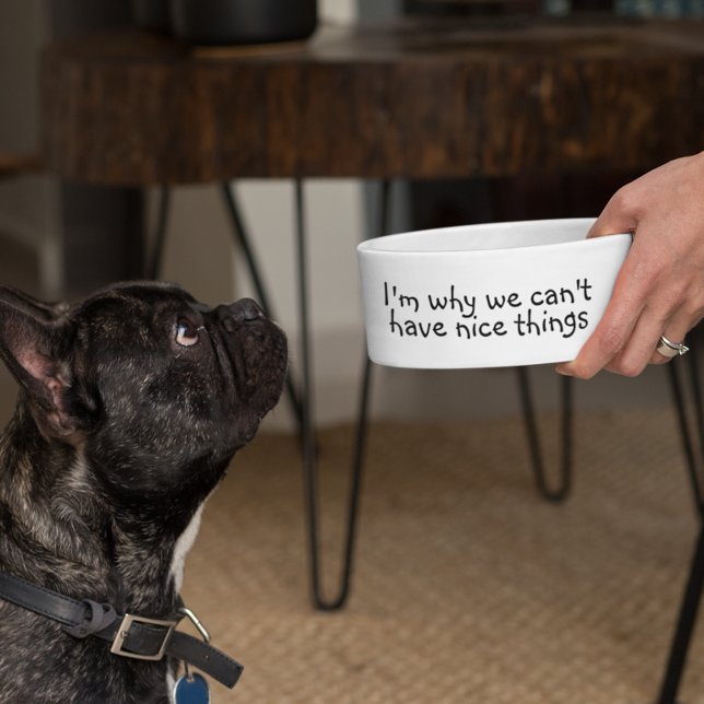 Écuelle I'm Why we Can't have Nice Things Funny (Créateur téléchargé)