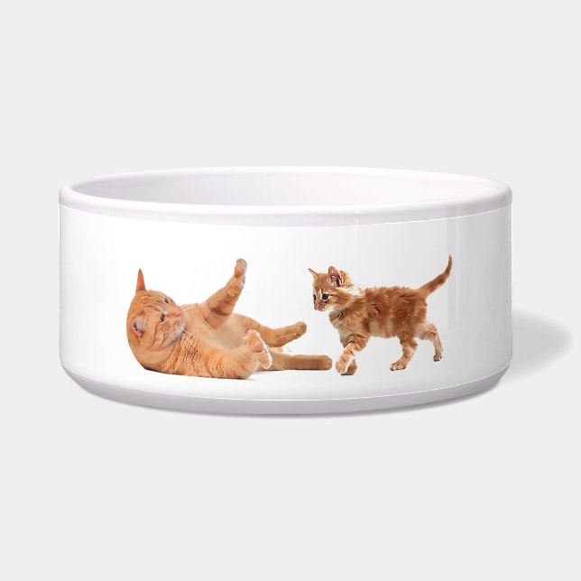 Écuelle Image pour animaux de compagnie pour gros poils (Devant)