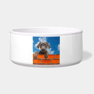 Écuelle Image pour animaux de compagnie pour gros poils