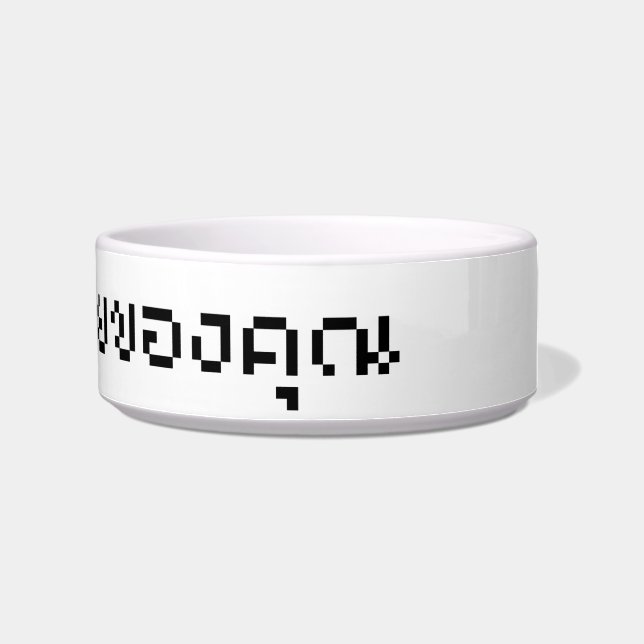 Écuelle J'Ai Lu Votre E-Mail / Script En Langue Thaïe (Droite)