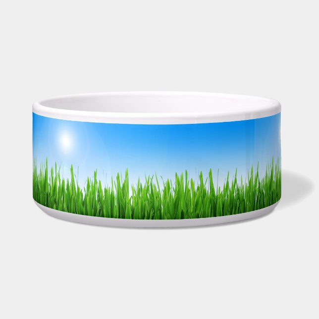 Écuelle Jardin à l'herbe verte avec conception de ciel ble (Devant)